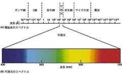 353_2_55611094_76_basic